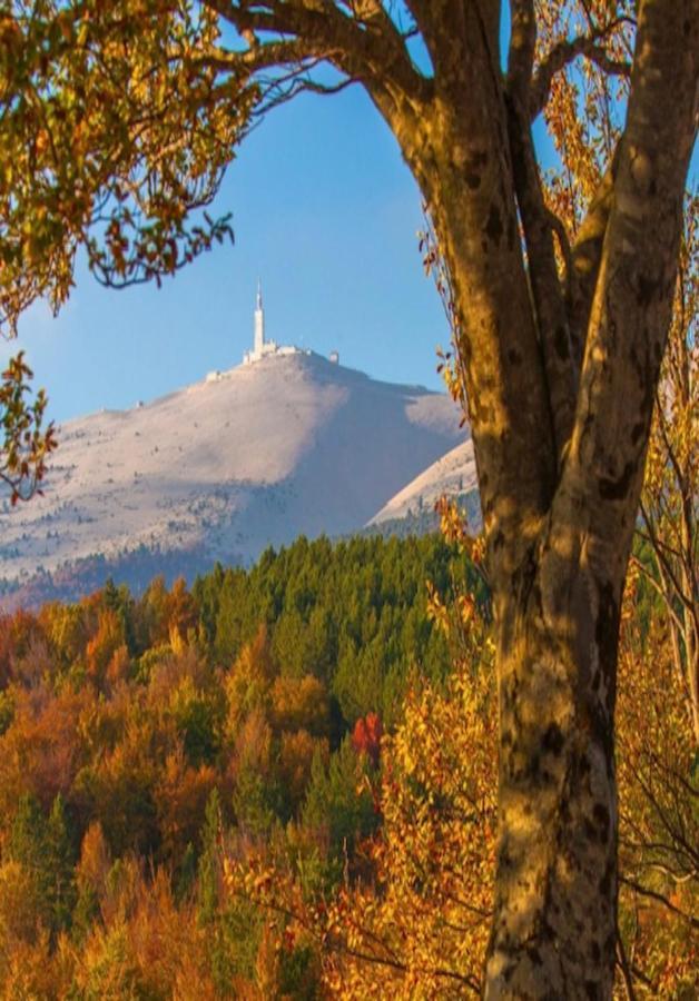 Вилла Gite Les Feuilles De Chene Карпантра Экстерьер фото